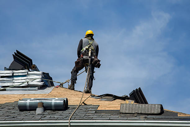 Professional Emergency Roof Repair technician working in Cedar Falls, IA